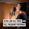 imageRode NT2A Studio Solution Microphone Silver Wired Singing