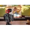 imageRode VideoMicro Compact OnCamera Microphone with Rycote Lyre Shock Mount Auxiliary BlackVideoMicro II